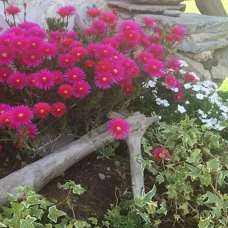 Σπίτι διακοπών Carpe Diem *