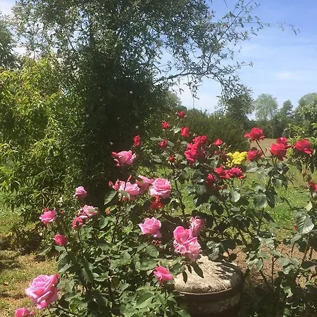 Carpe Diem Σπίτι διακοπών *