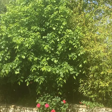 Carpe Diem Σπίτι διακοπών *